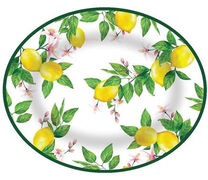 Блюдо овальное Jaffa 47х37см 56454