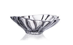 ���������� Plantika 365�� 6KG42/99V44/365/Y