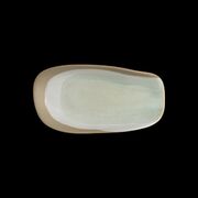 ����� ������������ Forager 23�� 6163RG152