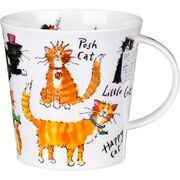 ������ Cairngorm A cat's life 480��