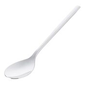 Ложка столовая Solvay 20см 50675