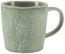 ������ Herb Oliva 320�� E1581-3