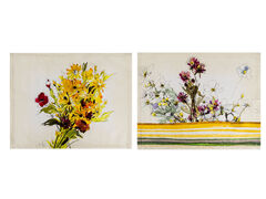 ���� �������� ������������� Patricia 35�45�� 747-024