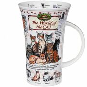 ������ Glencoe World of cat 500��