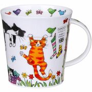 ������ Cairngorm Hanging out cat 480��