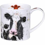 ������ Orkney Shaggy tails cow 350��