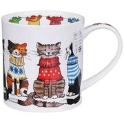 ������ Orkney Trendsetters cat 350��