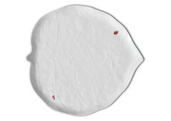 ����� �������� Foglia 31�� 55-16