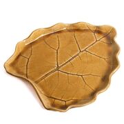 ����� ���� ����� ����� ������ 28�� F05020710