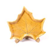 ����� ���� ����� ���� ������ 22�� F060103