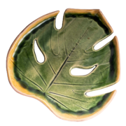 ����� ���� ����� �������� ������� � ������� 20�� F08010507