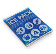 Аккумулятор температуры гелевый Т250 17,5х11х2см 8002936986009