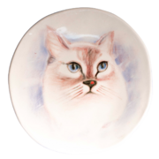 ������� ��������� �������� ��� �������� 20�� A0206