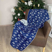 ���� ���������� �������� � �������� 100�150�� 4823093435209