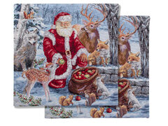 ��������� � �������� Scenery 47�47�� 716-209