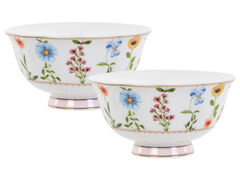 ����� ���������� Blossom 17�� 922-085