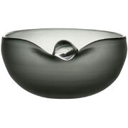 ���� Misciolgo 12�� U30729109�94