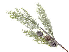 Ветка декоративная 60см 801-535