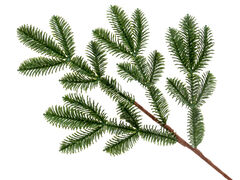 ����� ������������ 60�� 801-537