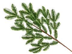 Ветка декоративная 70см 801-538