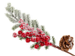 Гілка декоративна 33см 801-540