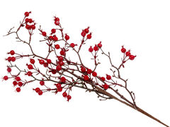 ����� ������������ 84�� 801-548