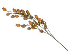 ����� ������������ 70�� 820-061