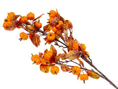 ����� ������������ 85�� 820-062