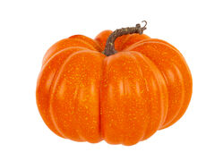 ������������ ����� 25�� 820-069