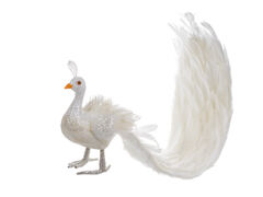 ������� ������ 75�� 822-049