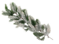 ����� ������������ 63�� 801-533