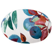 Блюдо овальное Samba 28х19см DR0361