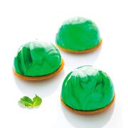 ����� ��� ������� 8�4�� SF001/WP