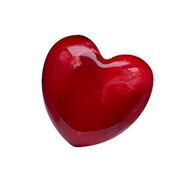 ����� ��� �������� ������ 4,5�4,2�1,6�� 21MA1995