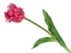 ������� ������������ ������-������� 47�� 821-109