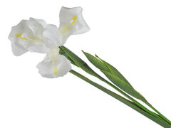 ���� ������������ ����� 76�� 821-116