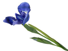 ���� ������������ ������� 76�� 821-117