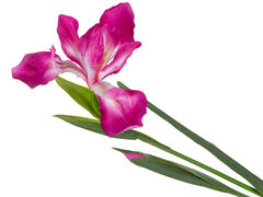 ���� ������������ ������� 76�� 821-118