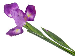 ���� ������������ ������� 76�� 821-119