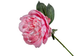 ���� ������������ ������� 54�� 821-120