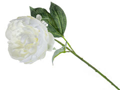 ���� ������������ ����� 54�� 821-124