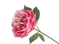 ���� ������������ ������� 54�� 821-126