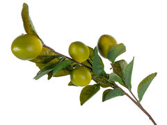 ����� ��������� ������ ������������ 73�� 821-136