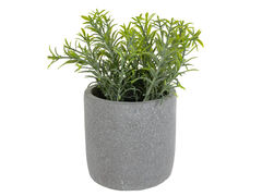 �������� ������������ �������� 19�10�10�� 821-147