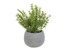 �������� ������������ ���� ����� 16�10�10�� 821-146