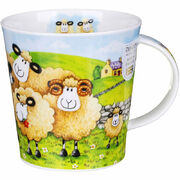 ������ Cairngorm Follow me follow ewe farm 480��