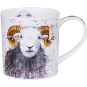 ������ Orkney Shaggy sheep herdwick 350��