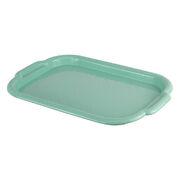 Таця 33х49см 1111-IH-блакитний