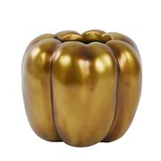 ���� Bellpepper 21�� 5836318