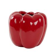 ���� Bellpepper 30,5�� 5836417